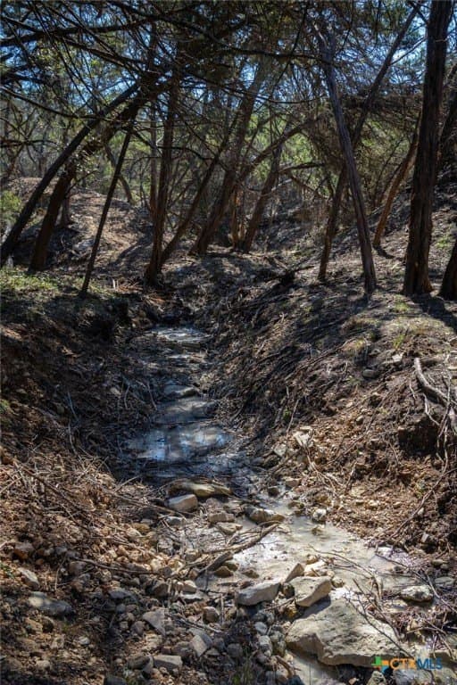 11.55 acres in Comal County - photo 22