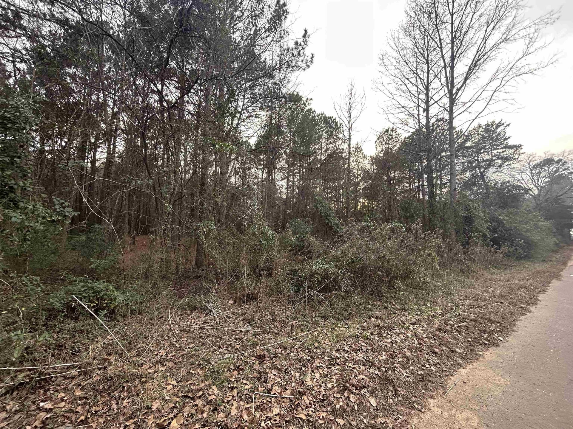 2.75 acres in Texas County - photo 14