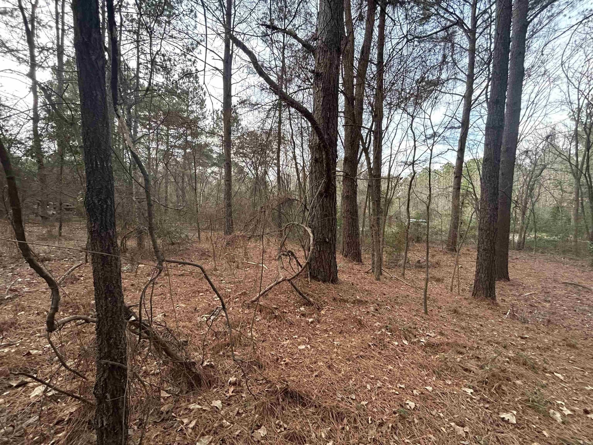 2.75 acres in Texas County - photo 7