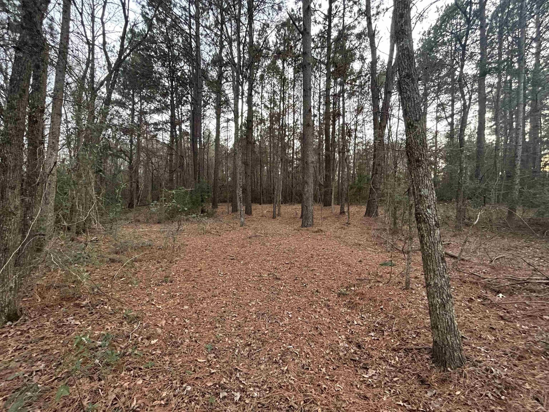 2.75 acres in Texas County - photo 13