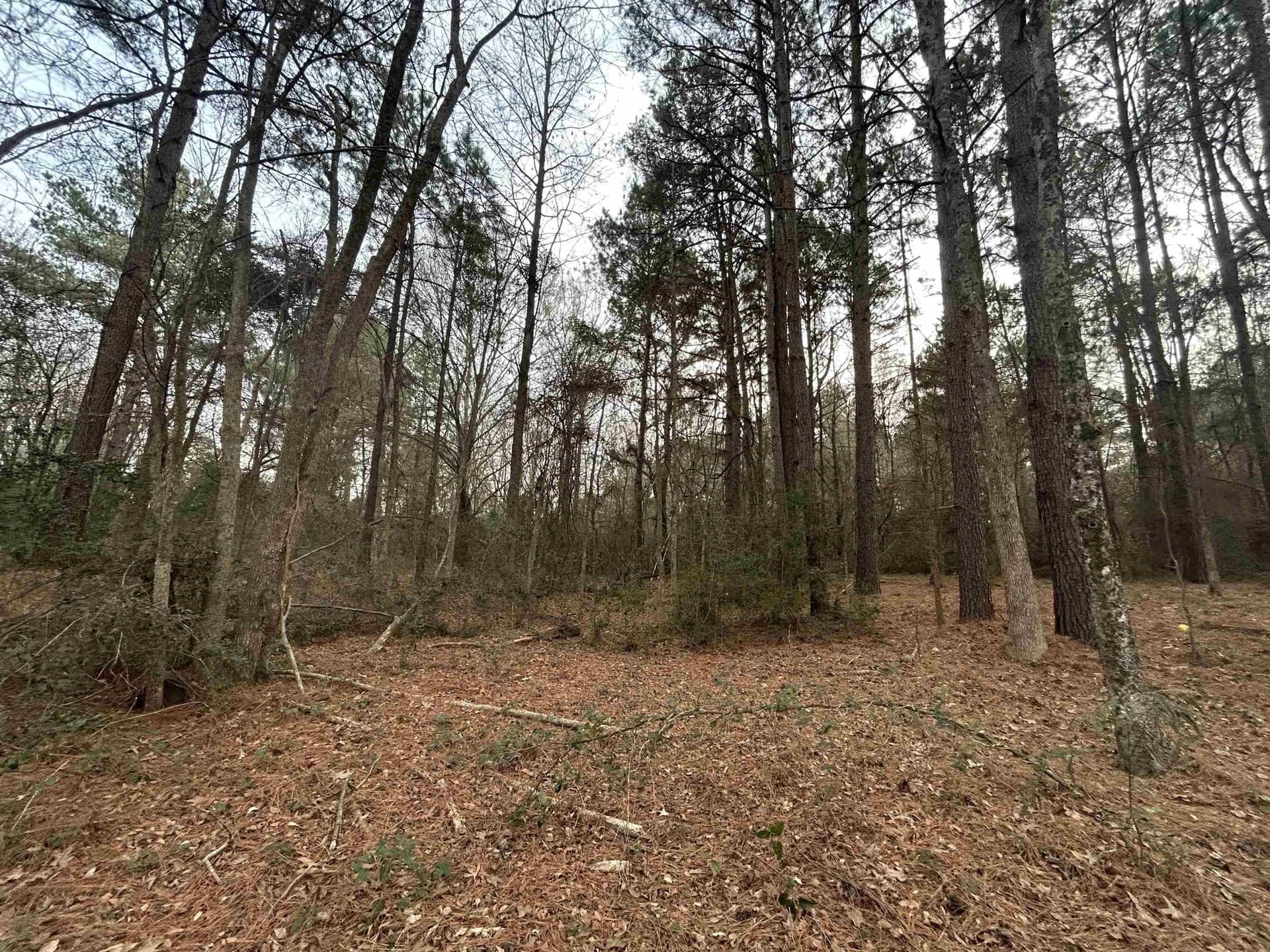 2.75 acres in Texas County - photo 11