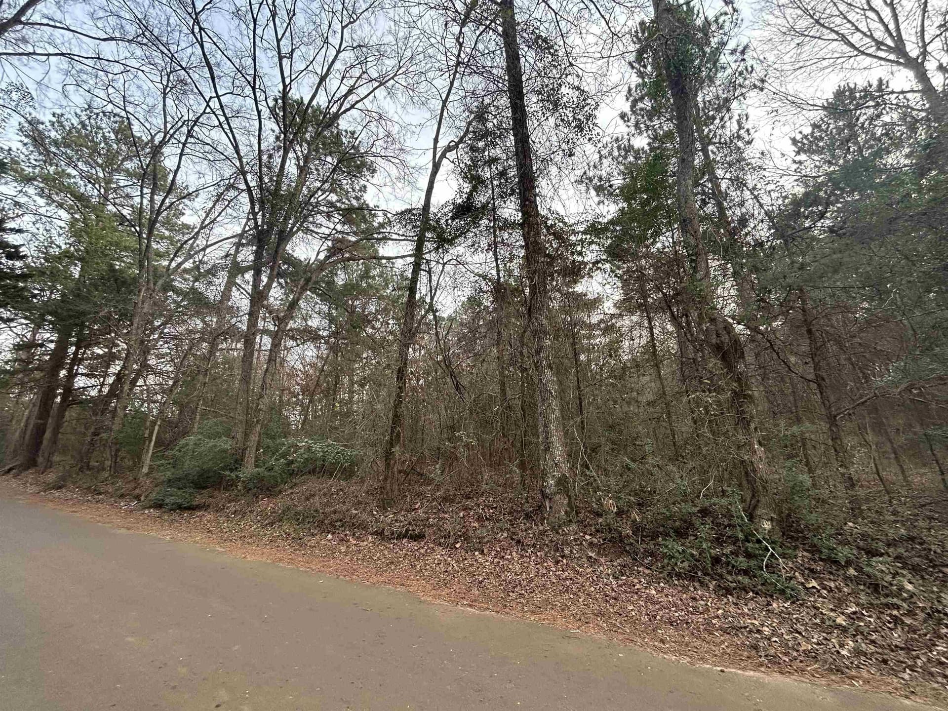 2.75 acres in Texas County - photo 2