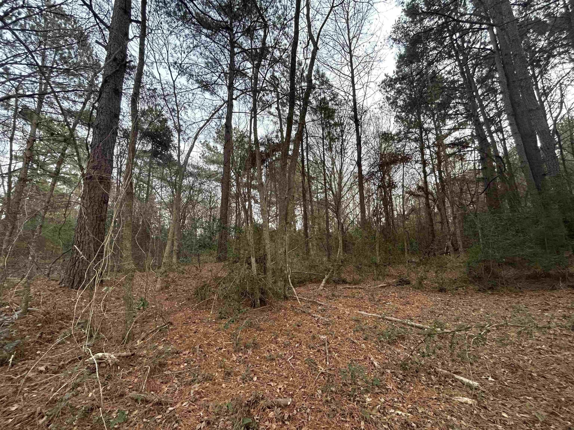 2.75 acres in Texas County - photo 12