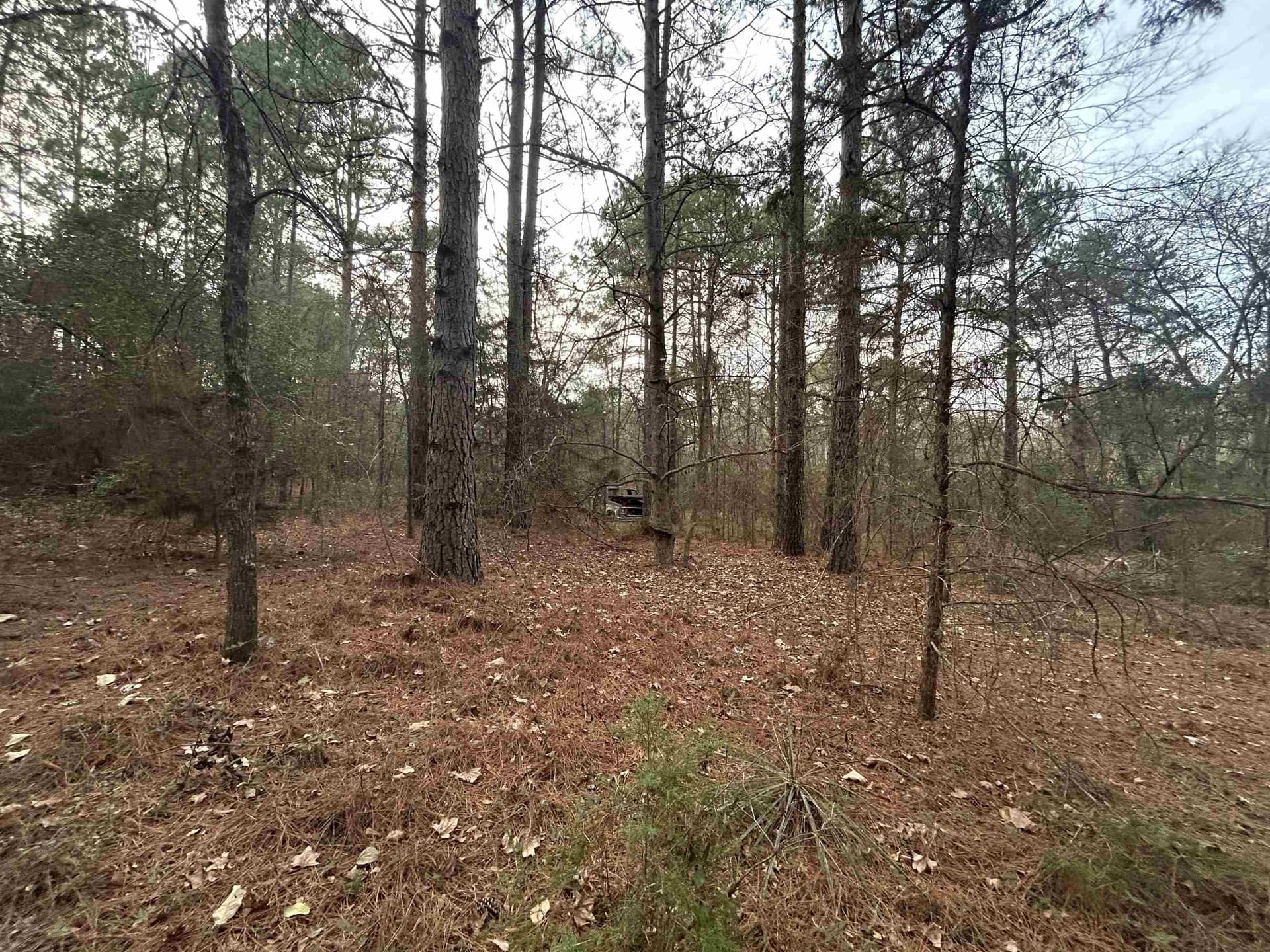 2.75 acres in Texas County - photo 6