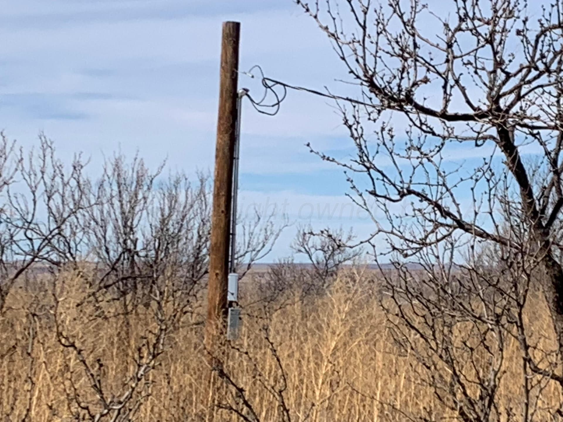 19.12 acres in Potter County - photo 3