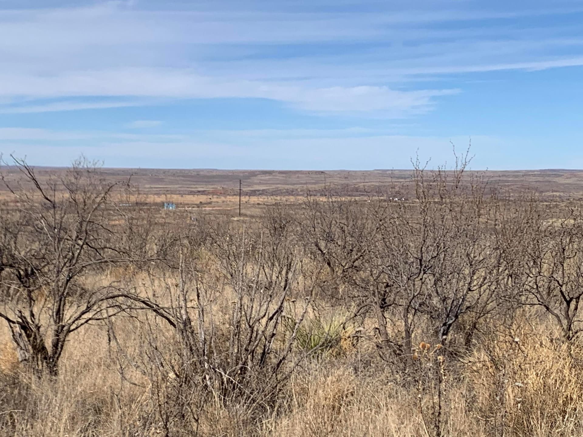 19.12 acres in Potter County - photo 5
