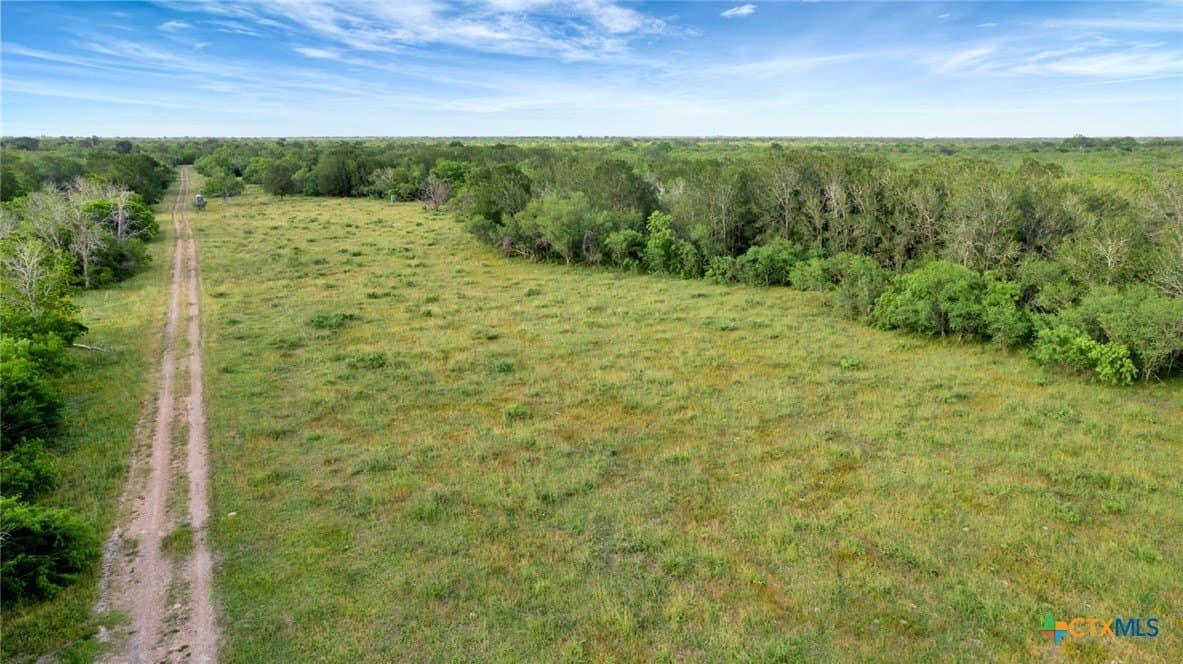 87.56 acres in Victoria County - photo 12