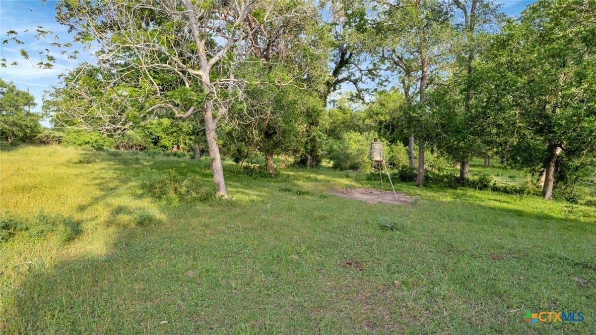 87.56 acres in Victoria County - photo 25
