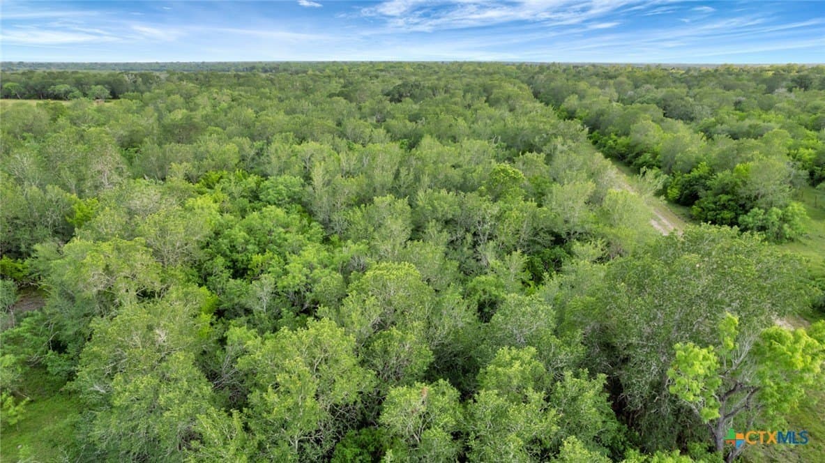 87.56 acres in Victoria County - photo 30