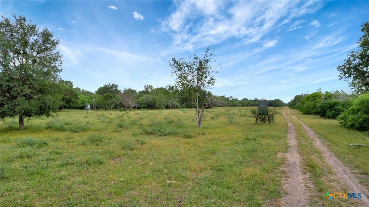 87.56 acres in Victoria County - photo 33