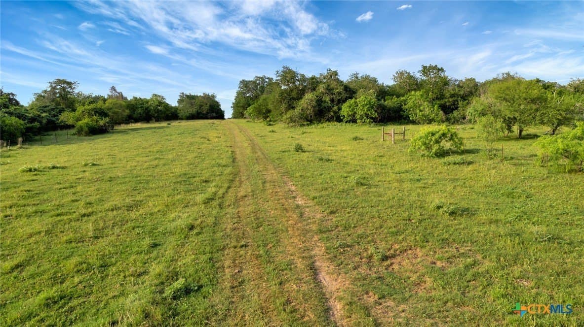 87.56 acres in Victoria County - photo 11