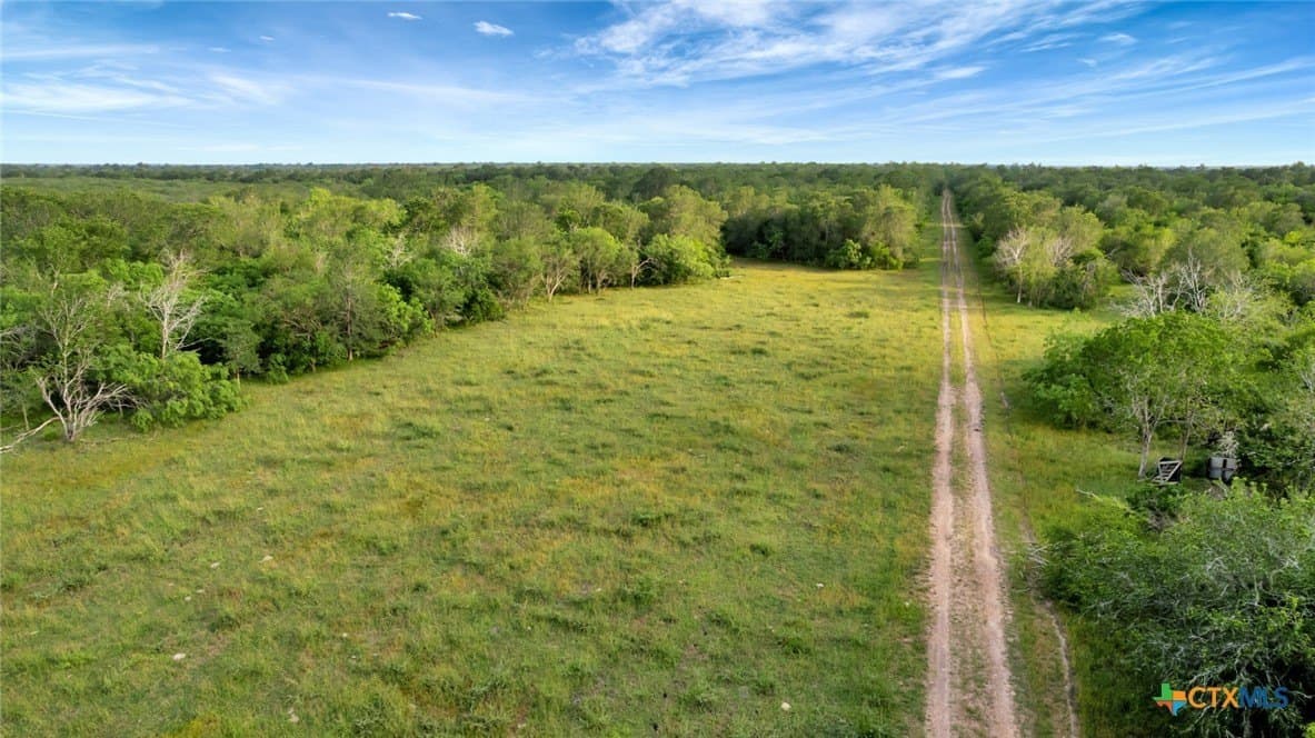 87.56 acres in Victoria County - photo 13