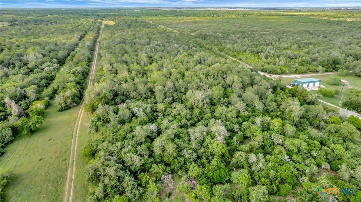 87.56 acres in Victoria County - photo 22