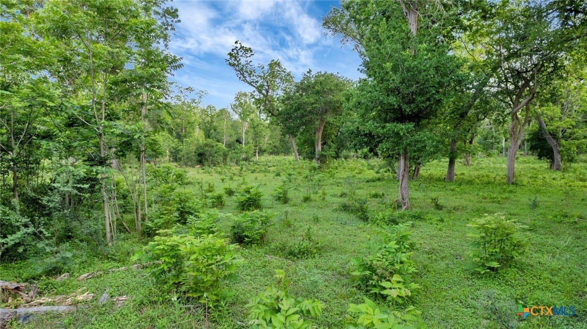 87.56 acres in Victoria County - photo 16