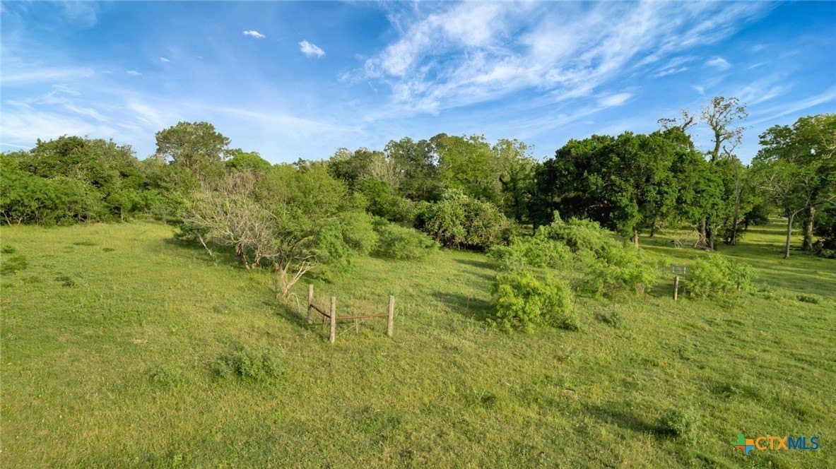 87.56 acres in Victoria County - photo 23