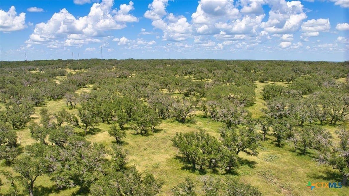 412.98 acres in McCulloch County - photo 13