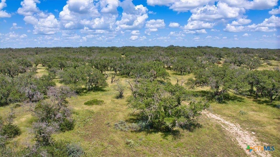 412.98 acres in McCulloch County - photo 11