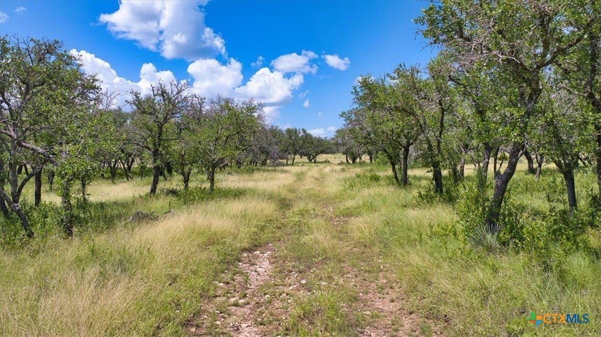 412.98 acres in McCulloch County - photo 10