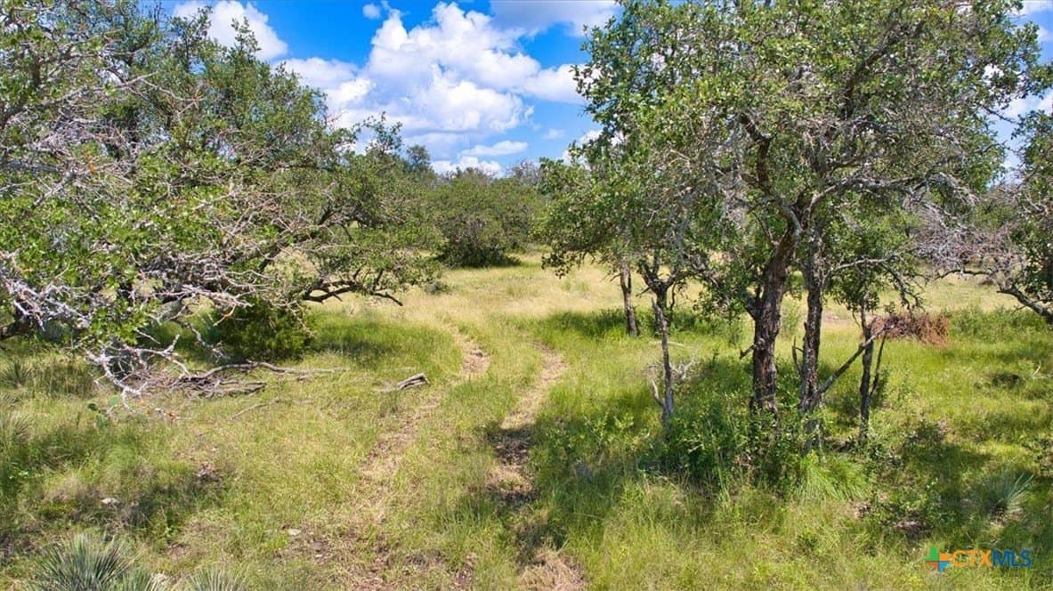 412.98 acres in McCulloch County - photo 3