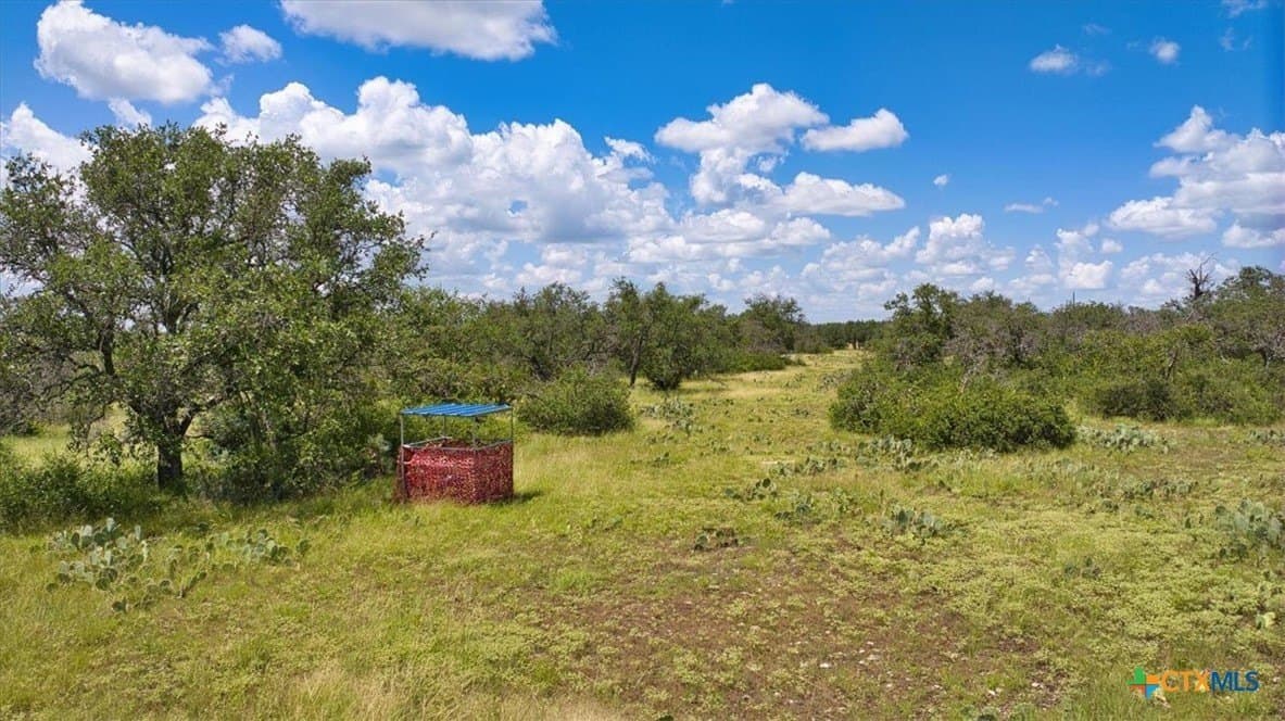 412.98 acres in McCulloch County - photo 19