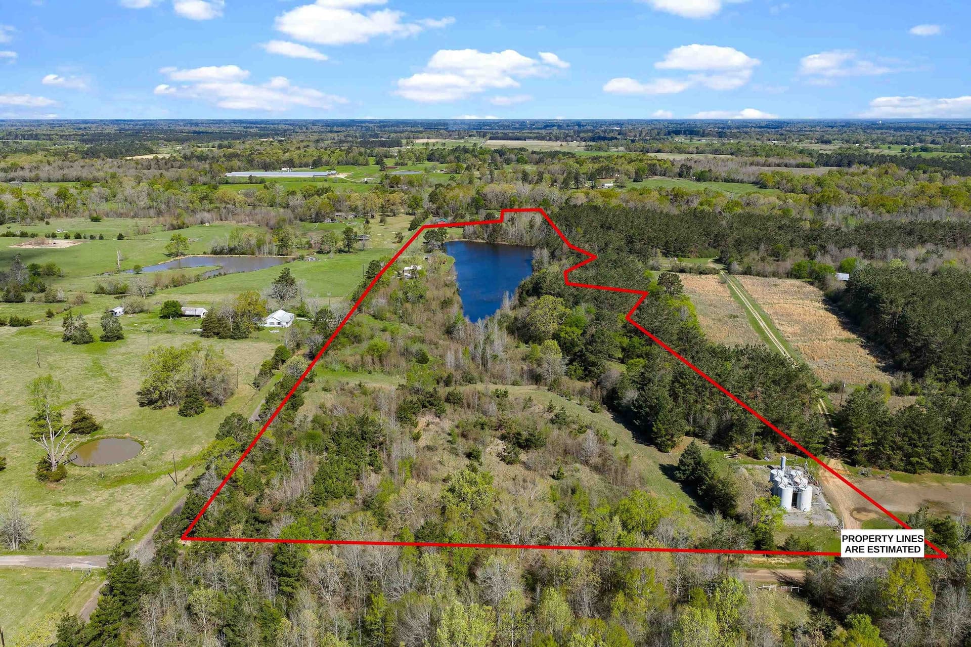 22 acres in Panola County - photo 2
