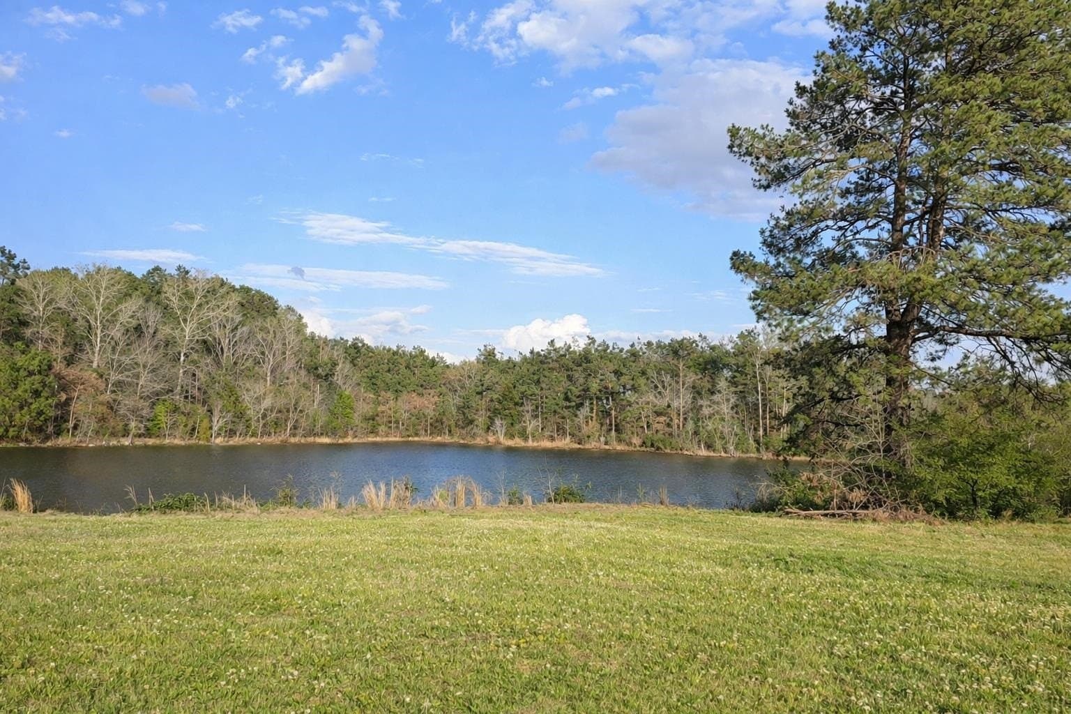 22 acres in Panola County - photo 22