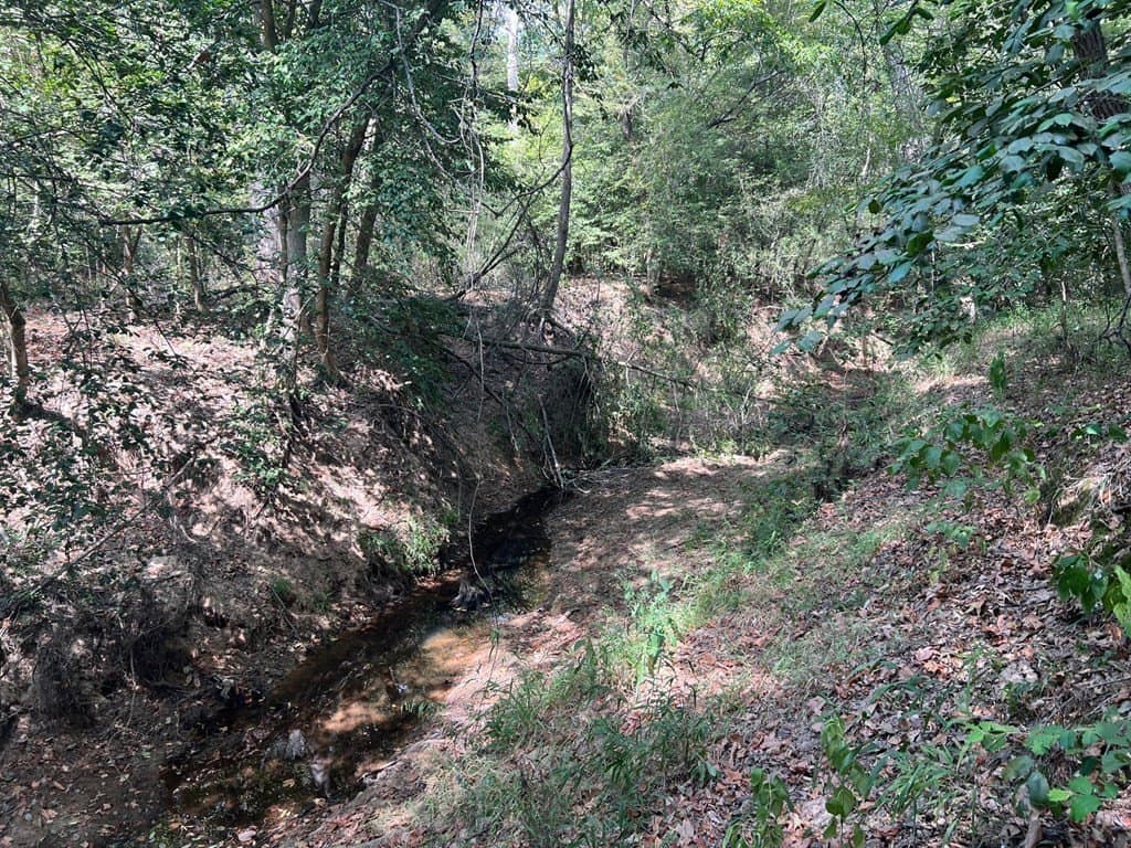 15.47 acres in ANDERSON County - photo 9
