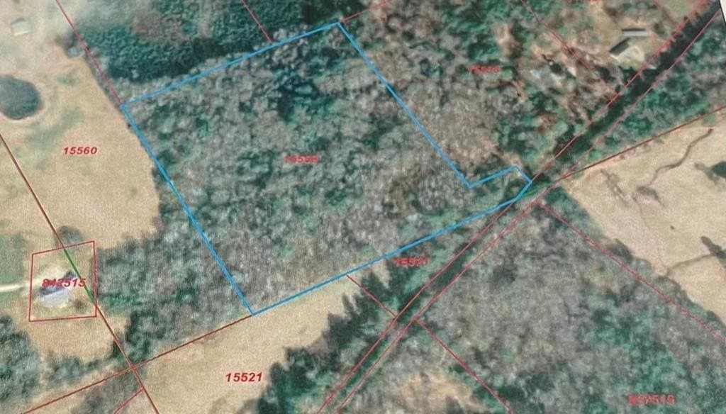 15.47 acres in ANDERSON County - photo 2