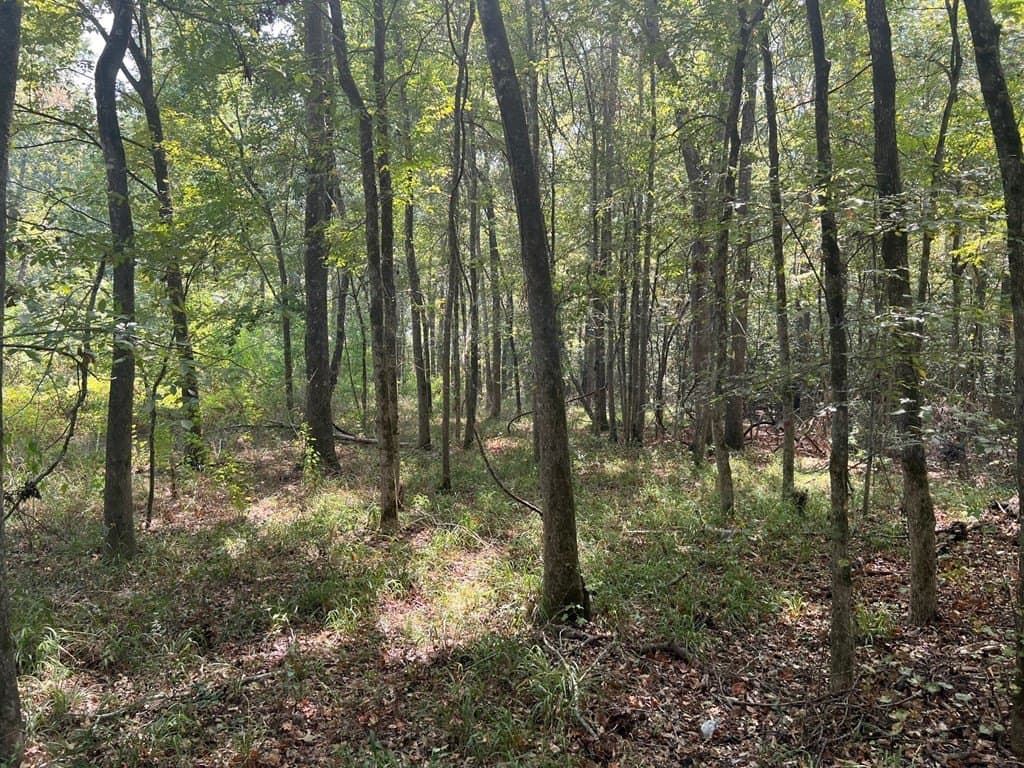 15.47 acres in ANDERSON County - photo 7