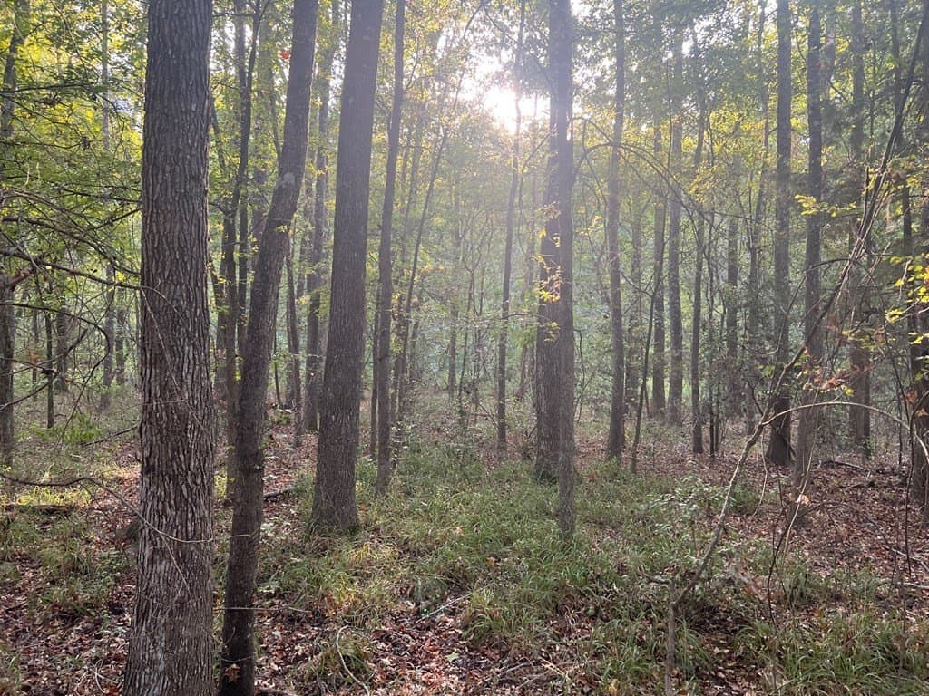 15.47 acres in ANDERSON County - photo 5