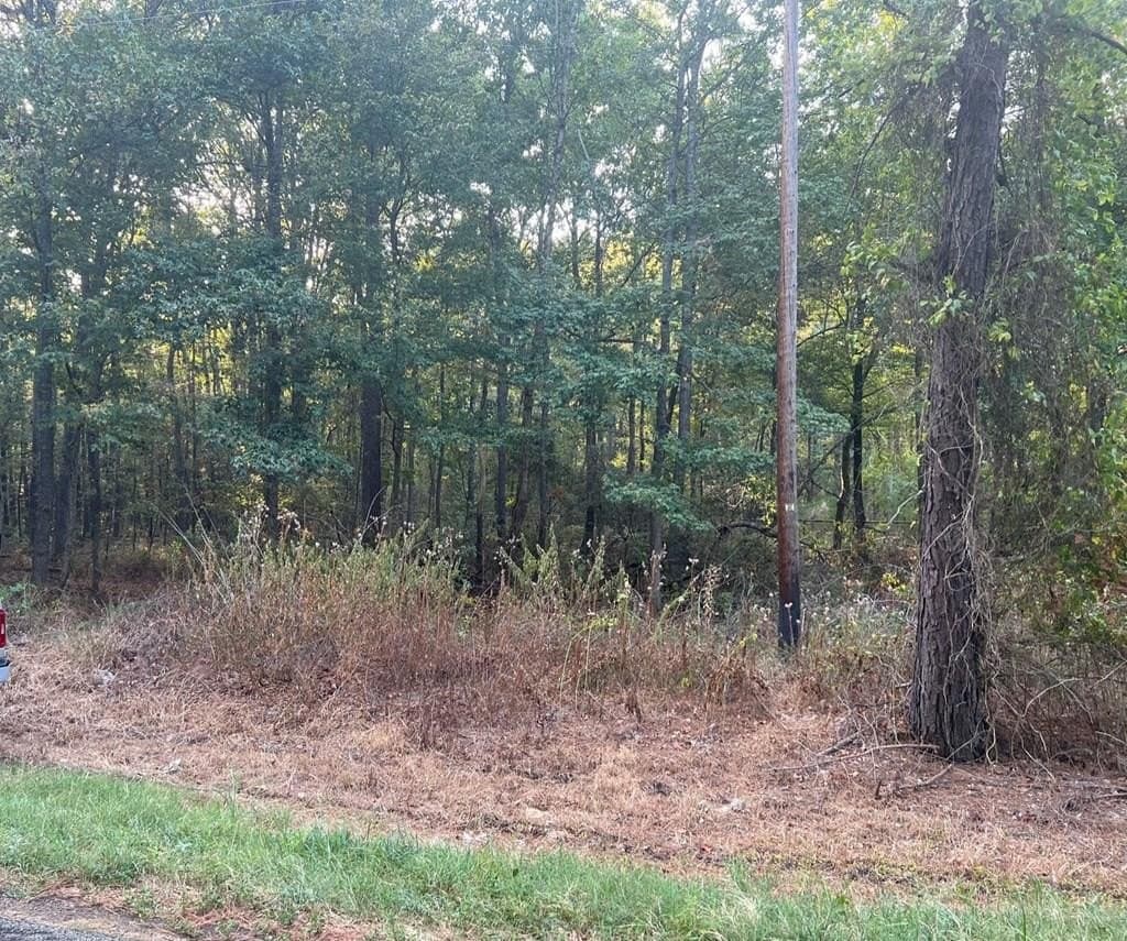 15.47 acres in ANDERSON County - photo 3