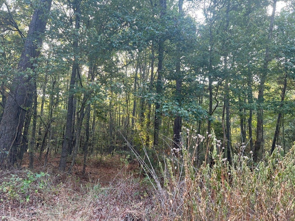 15.47 acres in ANDERSON County - photo 4