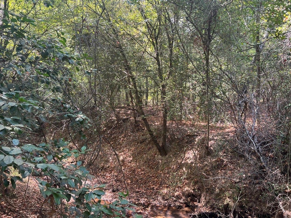 15.47 acres in ANDERSON County - photo 10