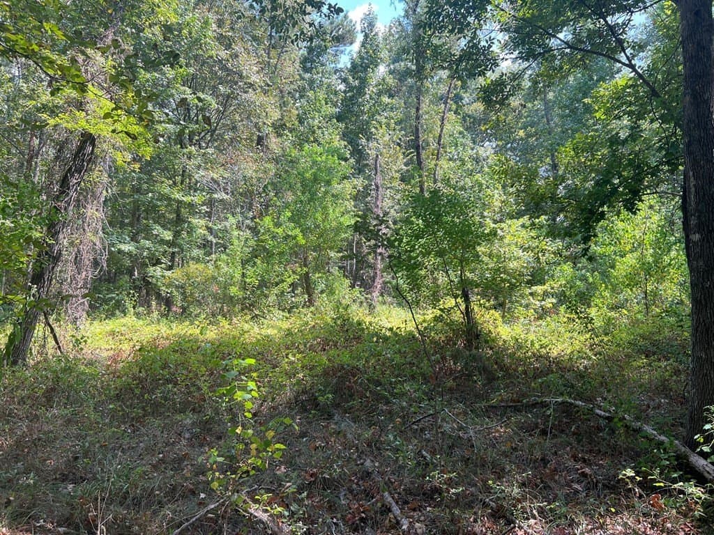 15.47 acres in ANDERSON County - photo 8