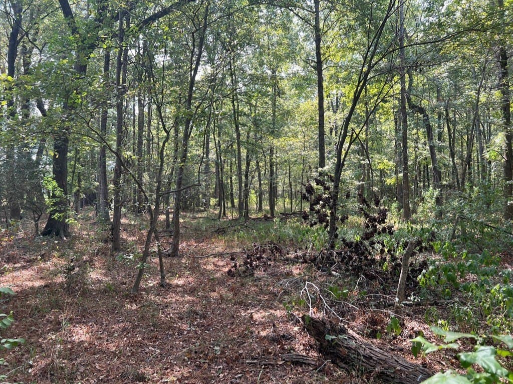 15.47 acres in ANDERSON County - photo 11
