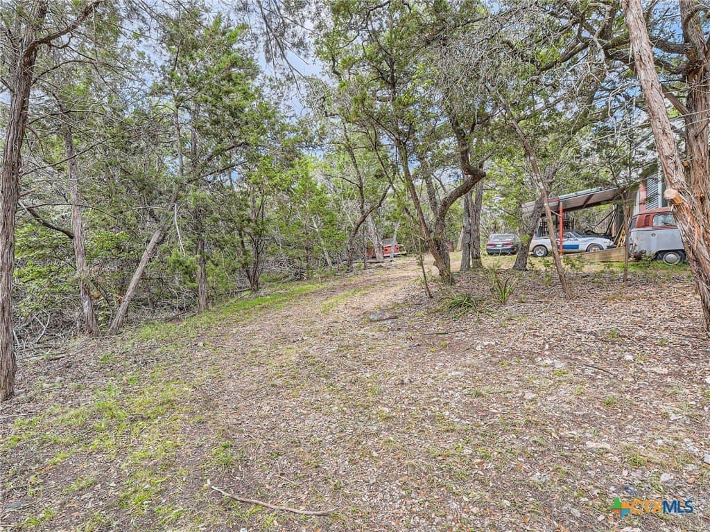 2.5 acres in Hays County - photo 11