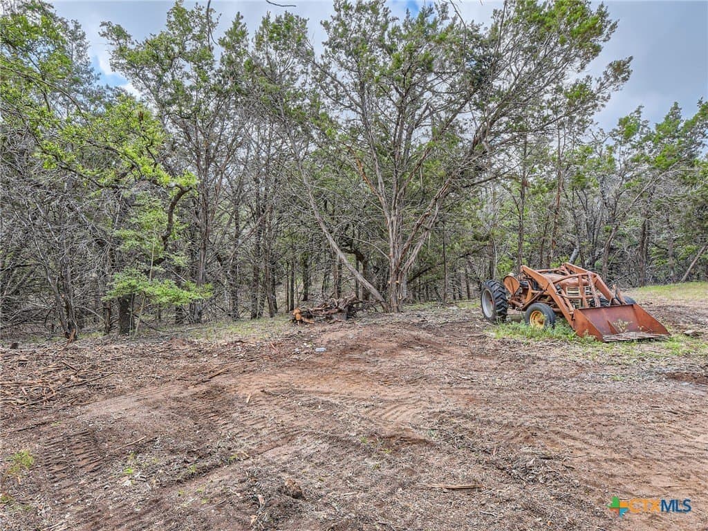 2.5 acres in Hays County - photo 17