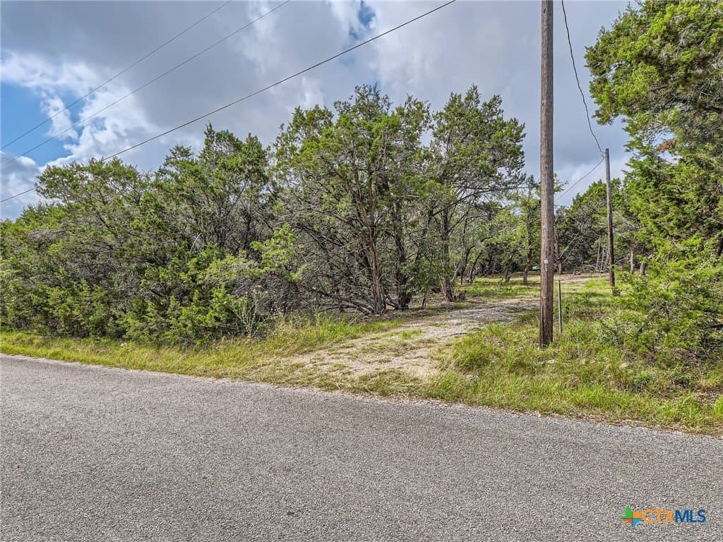 2.5 acres in Hays County - photo 13