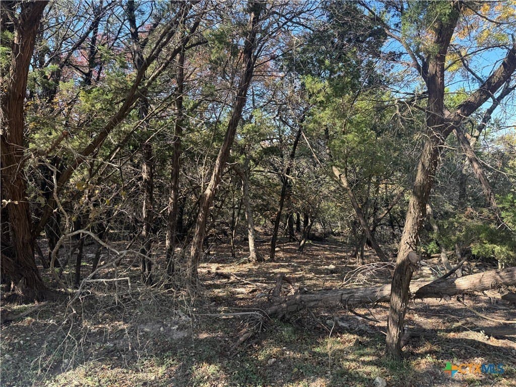 0.6 acres in Bell County - photo 5