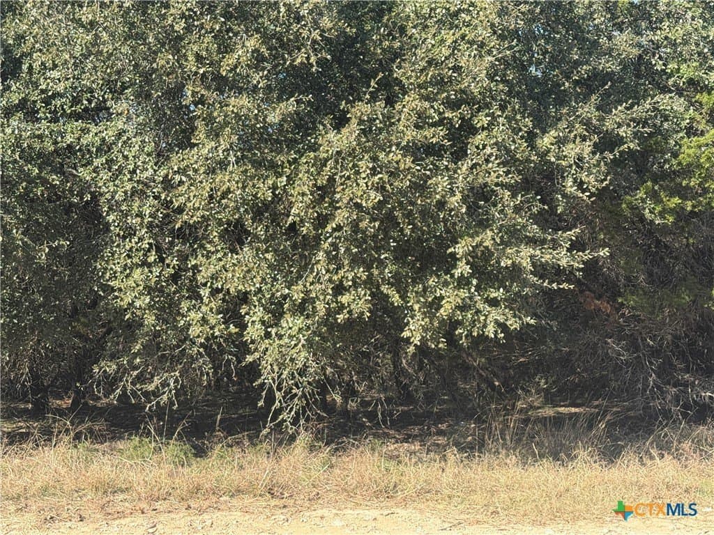 0.6 acres in Bell County - photo 2