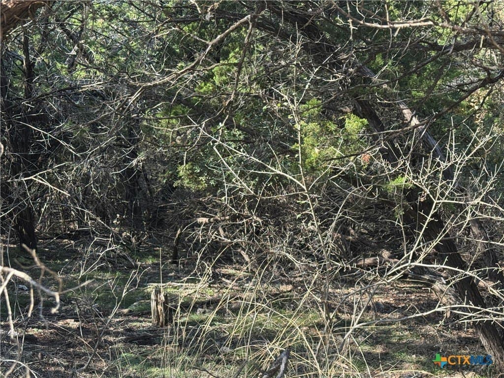 0.6 acres in Bell County - photo 3