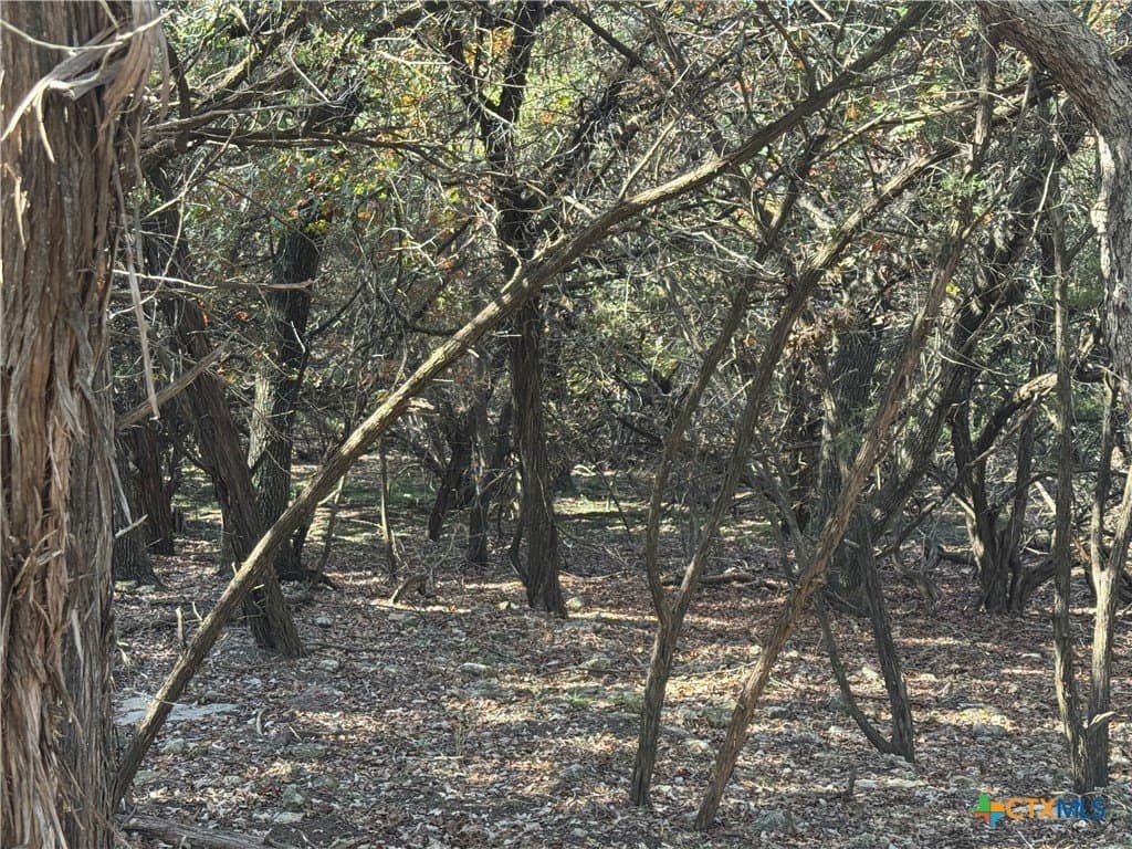 0.6 acres in Bell County - photo 4