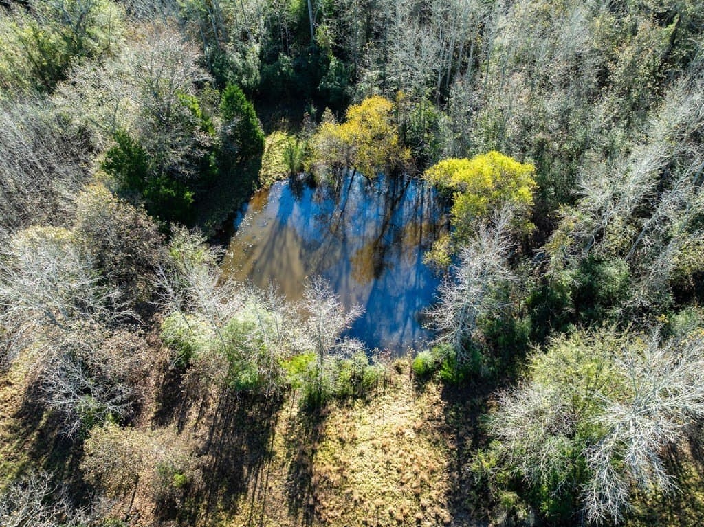 42 acres in LEON County - photo 4