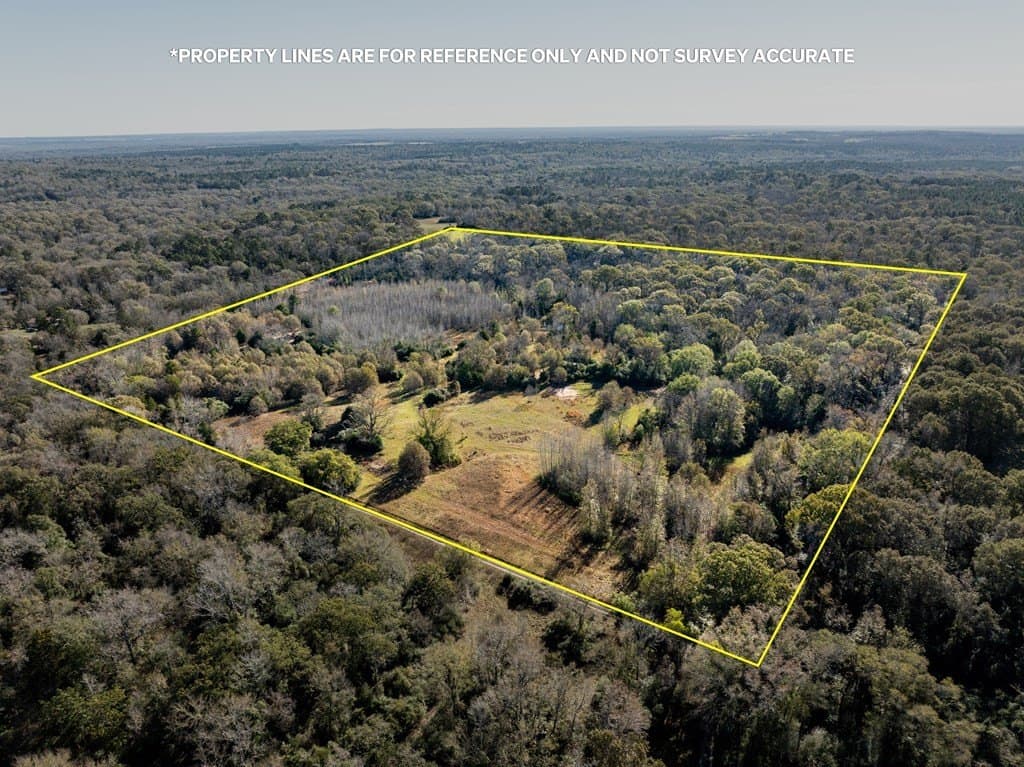 42 acres in LEON County - photo 8