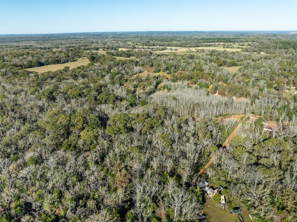 42 acres in LEON County - photo 3