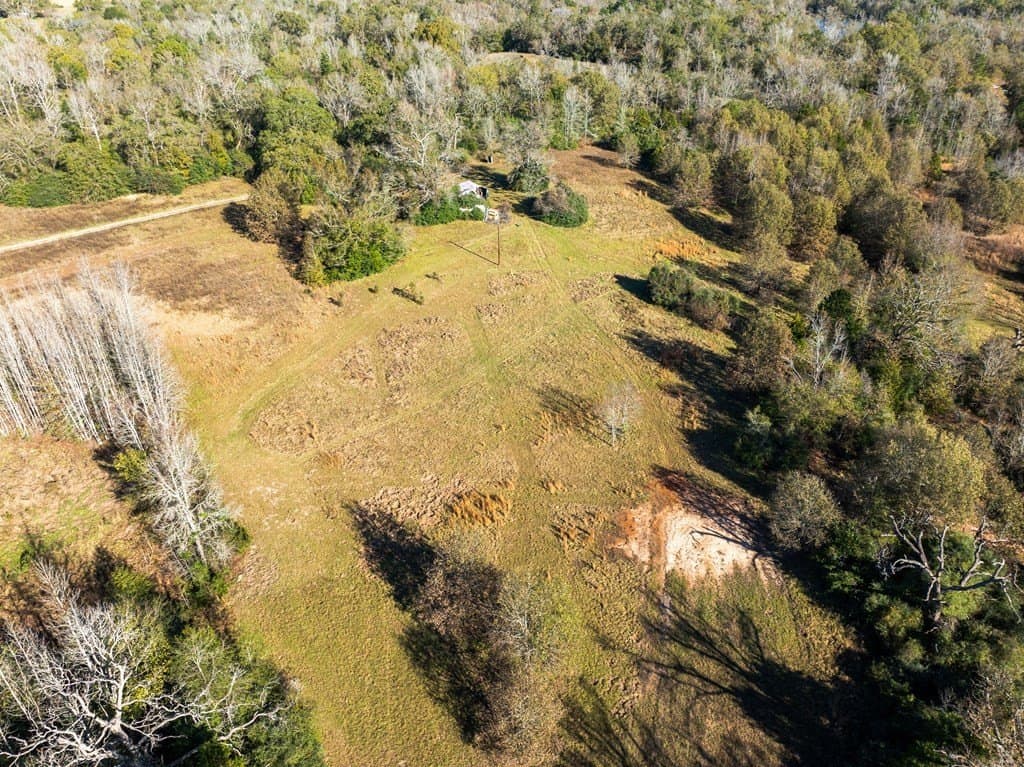 42 acres in LEON County - photo 6