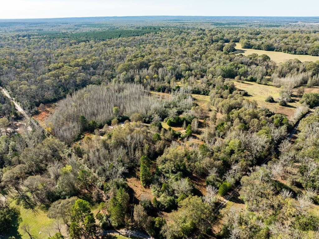 42 acres in LEON County - photo 2