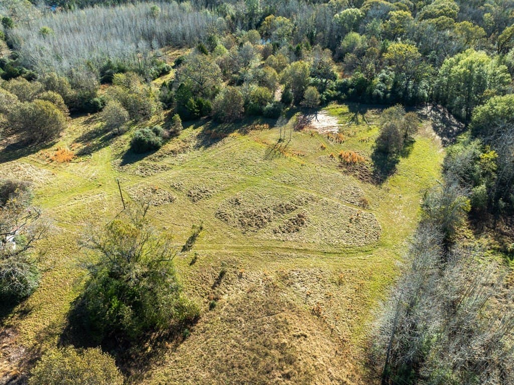 42 acres in LEON County - photo 5