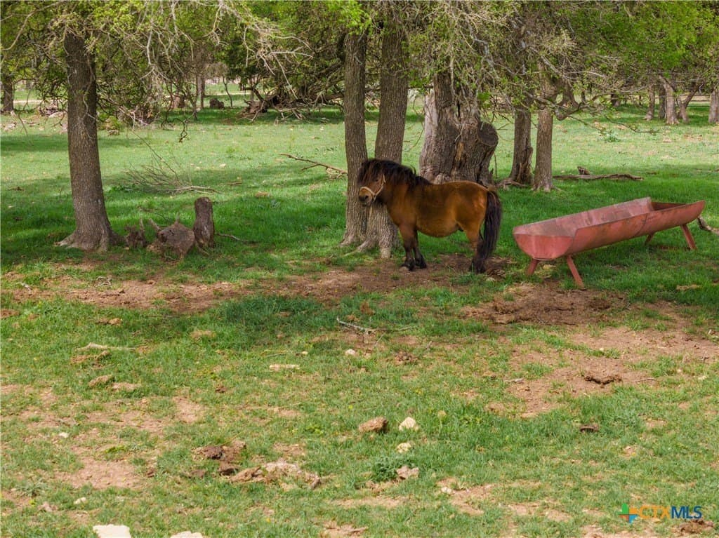 15 acres in Bell County - photo 39