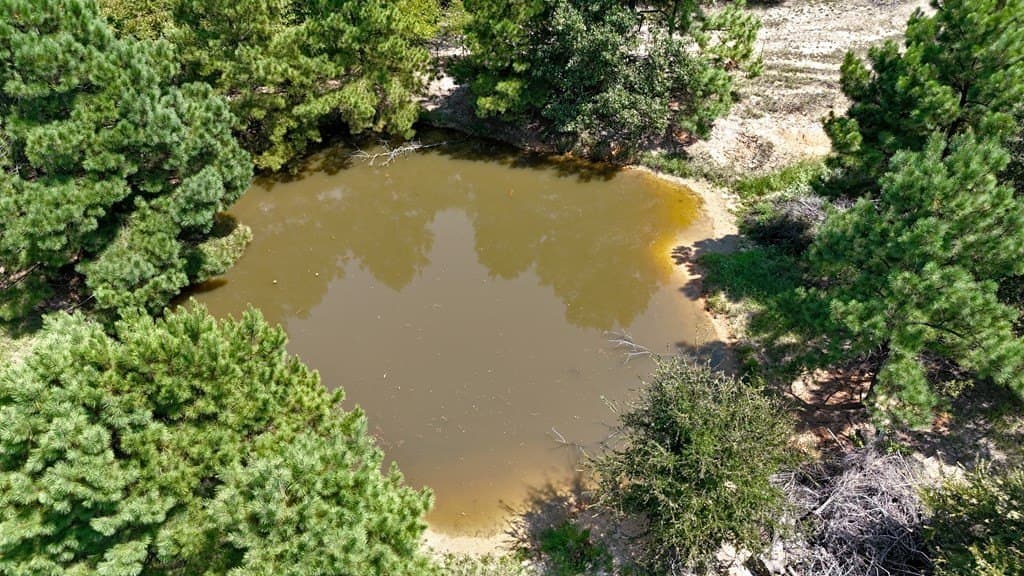 30.44 acres in Henderson County - photo 35